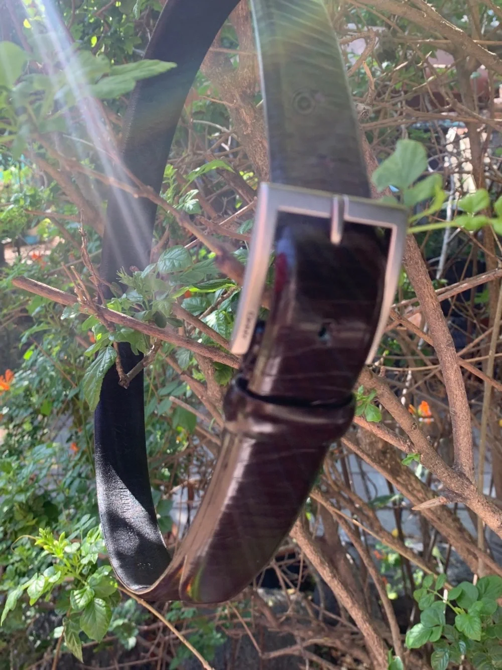 DKNY Brown Patent Leather Belt